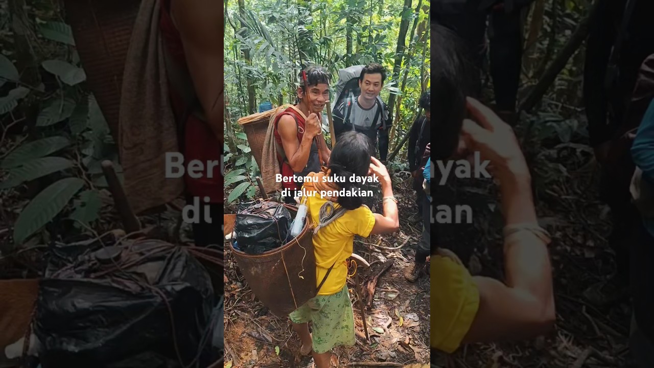 bertemu suku dayak kalimantan di jalur pendakian  #pendaki #pendakigunung #hutan