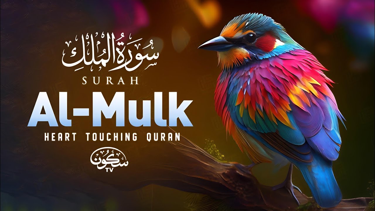 Surah Al-Mulk سورة الملك | Majestic Lofi Quran Recitation for Healing & Inner Peace #SurahMulk