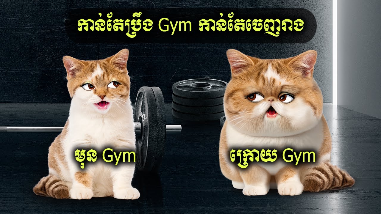 កាន់តែប្រឹង Gym កាន់តែចេញរាង​ (Unidry)