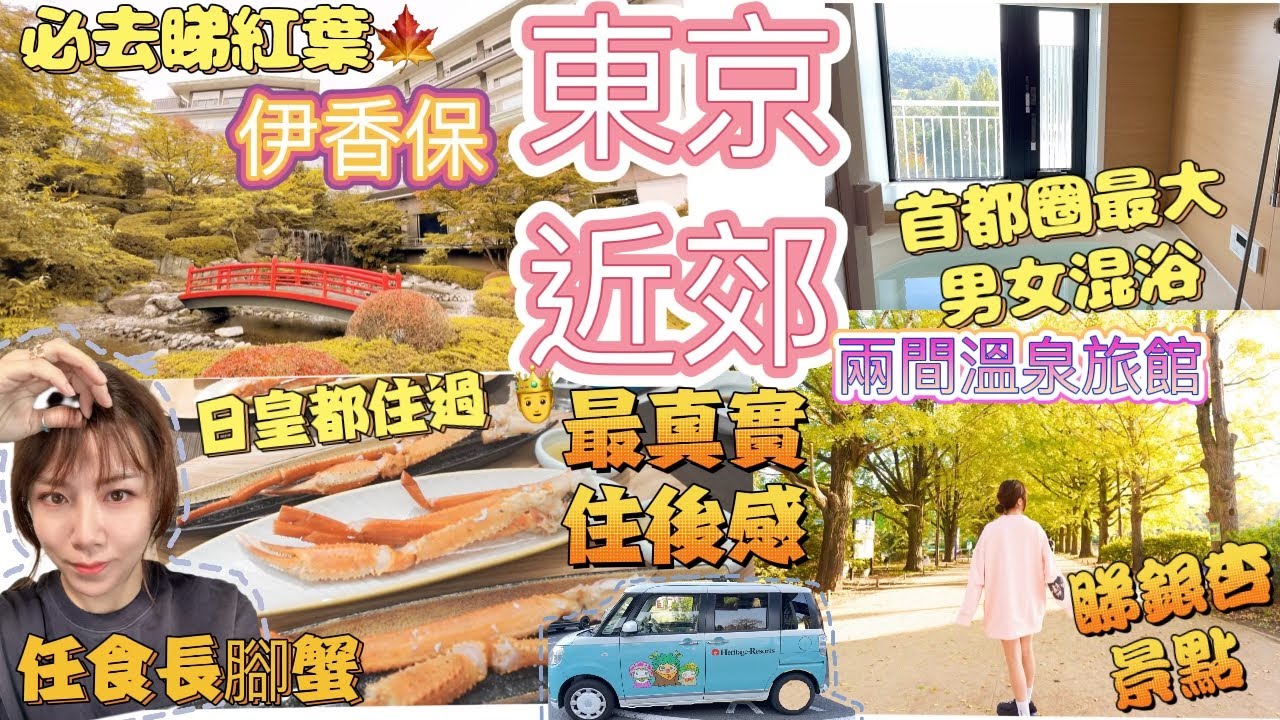 東京近郊🇯🇵日皇都住過首都圈最大男女混浴溫泉旅館 🏡必睇銀杏紅葉 🍁 超正私人風呂源泉掛流 🦀任食長腳蟹 伊香保温泉 日本自駕