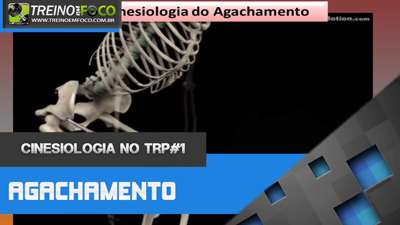Análise Cinesiologica do Agachamento - Cinesiologia no TRP #1