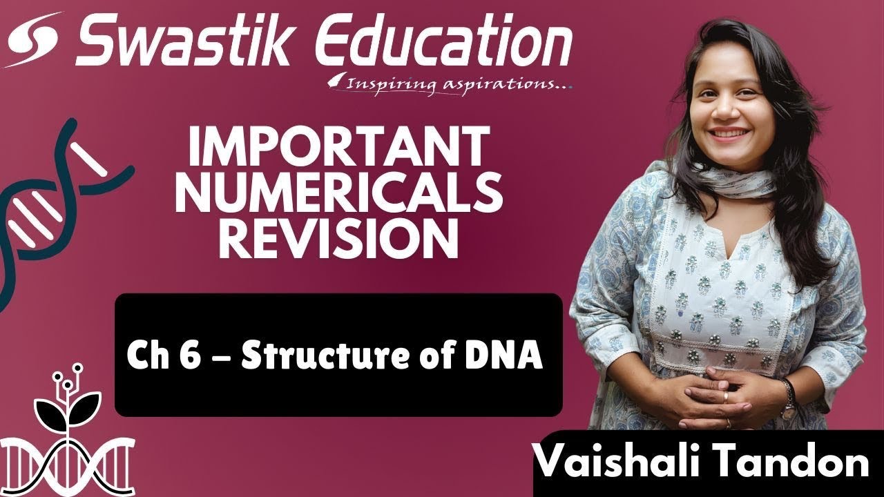 Evolution Numericals | Class 12 Biology | Chapter 6 Numerical Revision