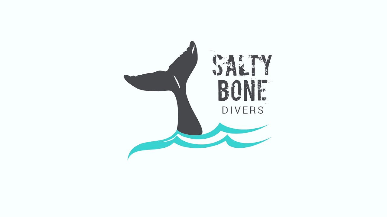 Salty Bone Divers | A Scuba Diving Story | Chennai