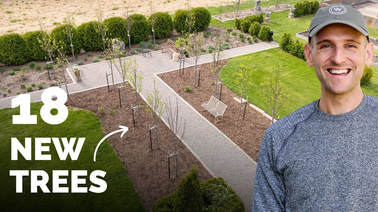 Installing 18 New Trees Along My Gravel Pathway!