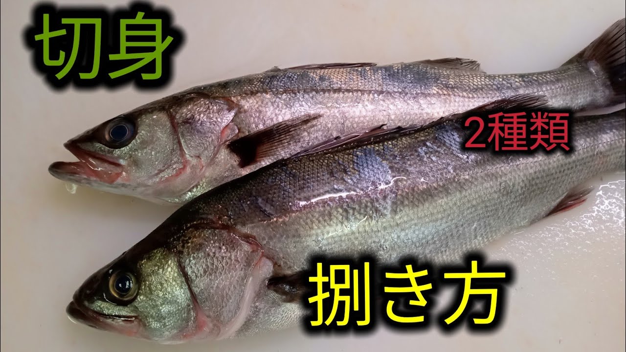セイゴ！簡単な方が簡単です！