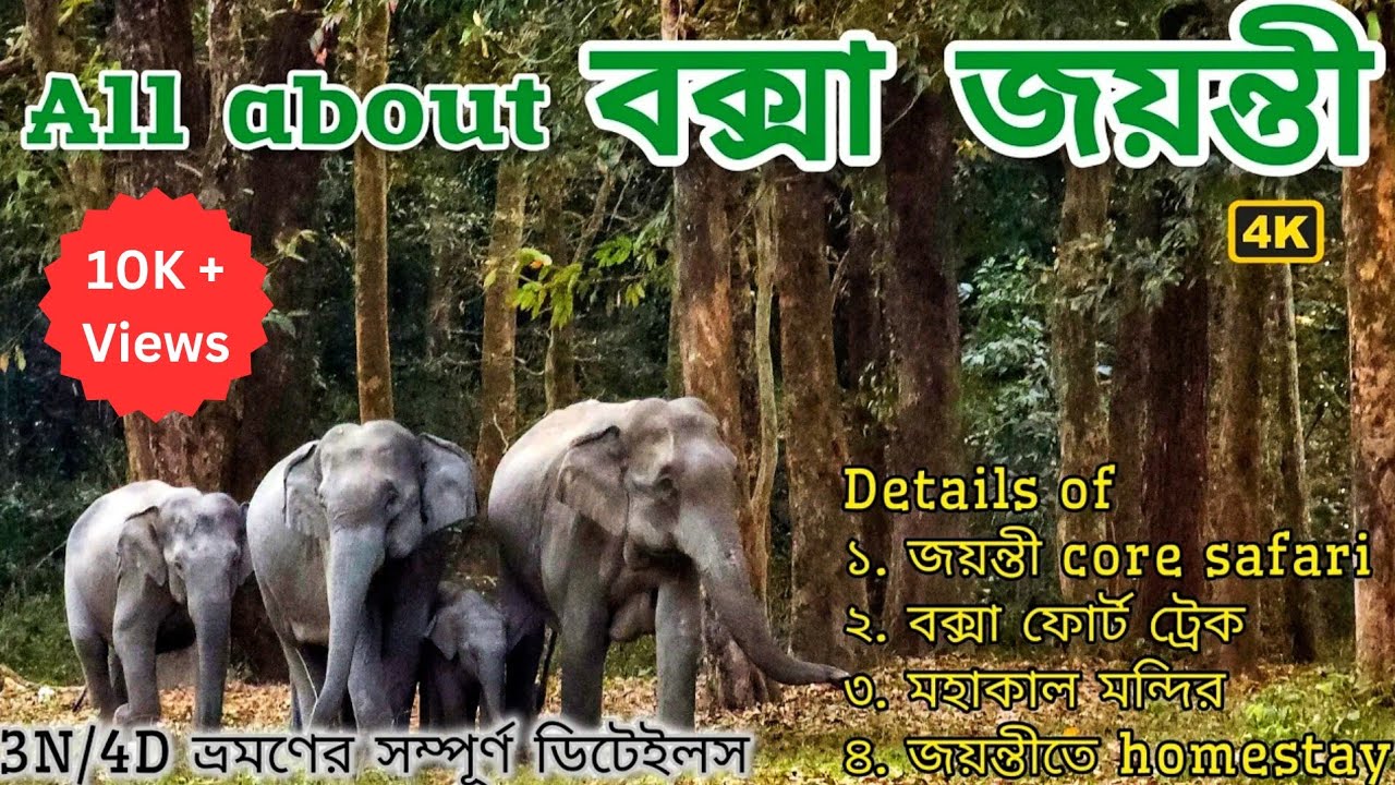 All about বক্সা জয়ন্তী | Complete Buxa Jayanti Travel Vlog With Tour Cost And Safari Guide