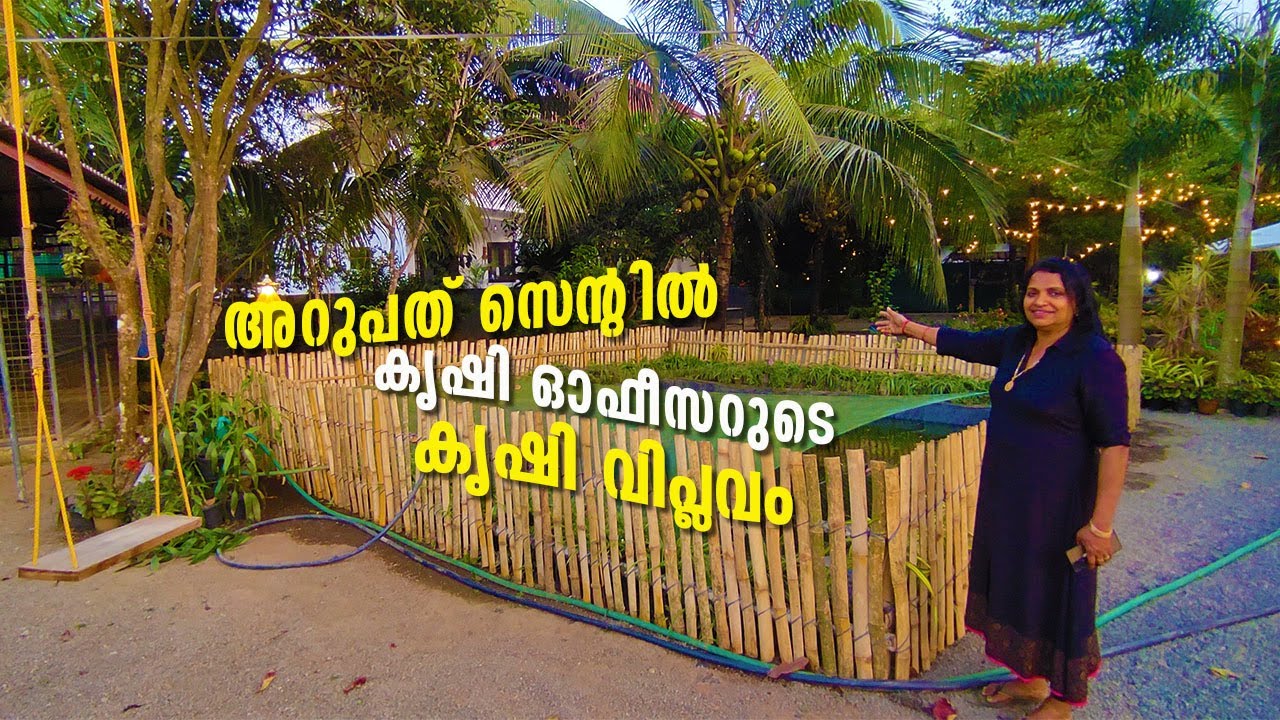 ലൗലി ചേച്ചിയുടെ അതിശയിപ്പിക്കുന്ന കൃഷിയിടം!| Variety Farming | Agriculture model | Come on everybody