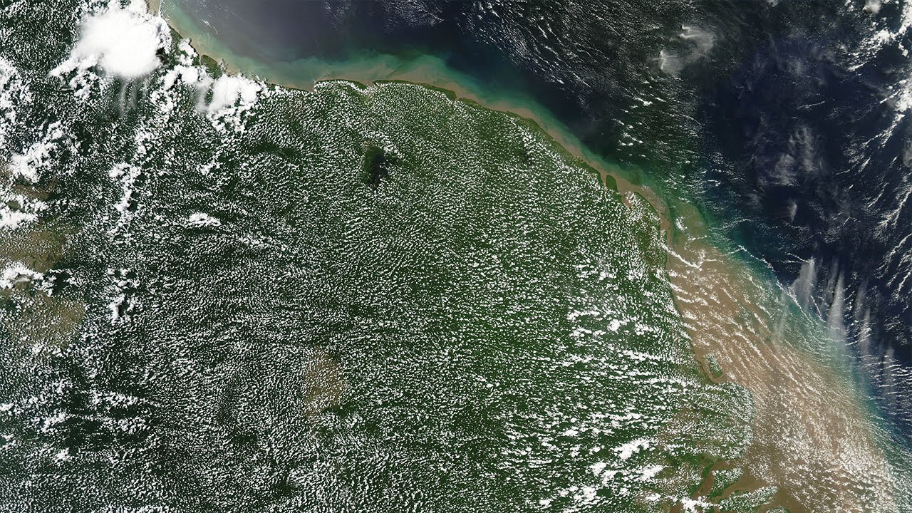 Great Wonders: The Monumental Geoglyphs of Amazonia