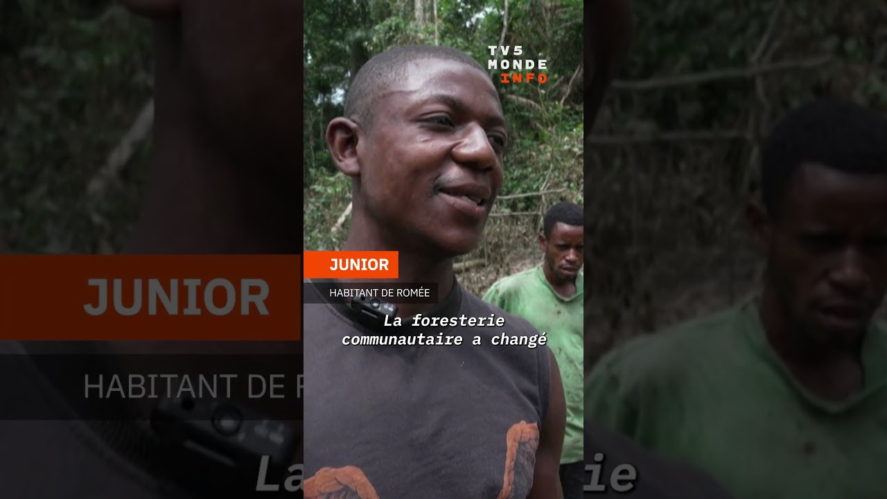 RD Congo: la for&ecirc;t exploit&eacute;e par les communaut&eacute;s