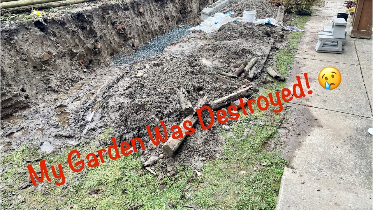 I went away a few days and found my garden destroyed when I got back! 😥