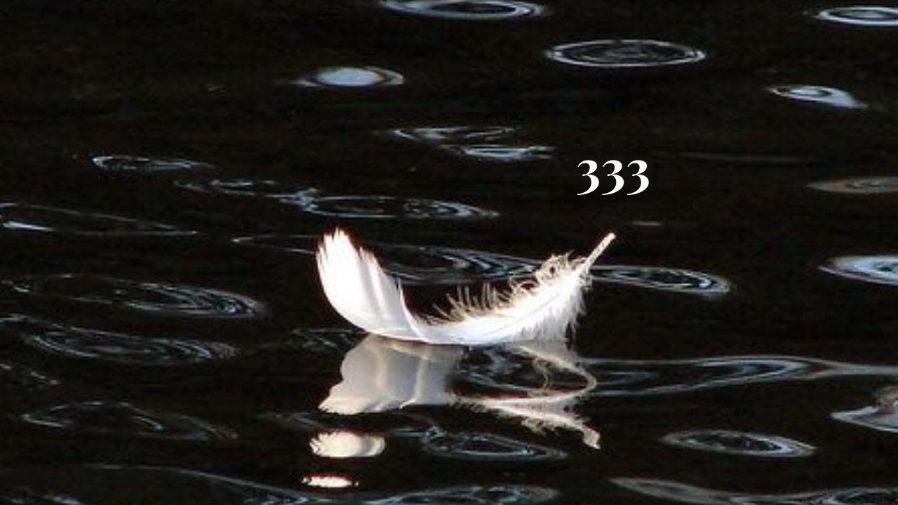 Your hard work suddenly pays off BIG before next week. (333)