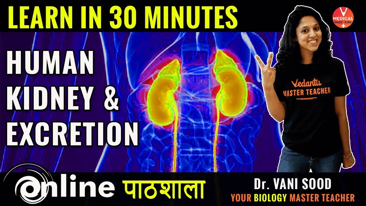 Biology |Learn Human Kidneys And Excretion Process In 30 Minutes| By Dr. Vani Sood