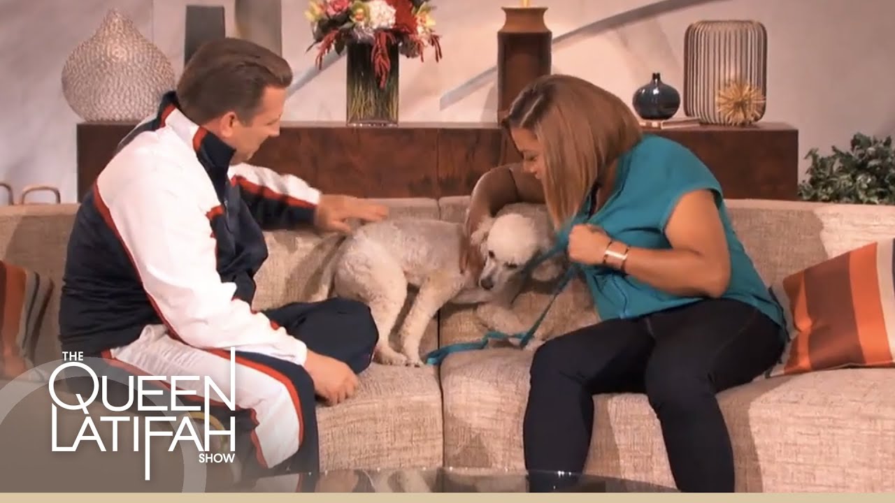 Dog Grooming Tips on The Queen Latifah Show