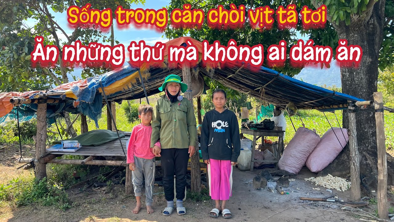 Cuộc sống nghèo khổ trong CĂN CHÒI VỊT của 3 mẹ con trong rừng núi. Tập 429