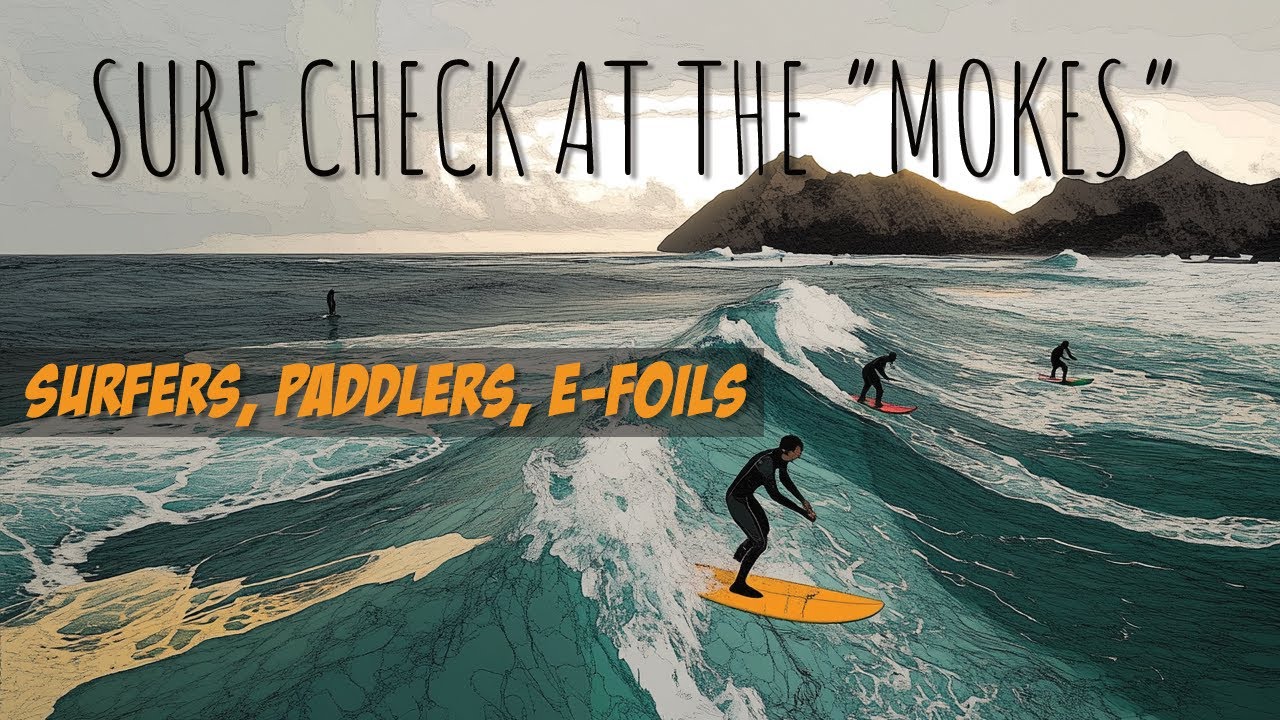 Mokes Surf Check | Paddlers, Surfers, eFoilers