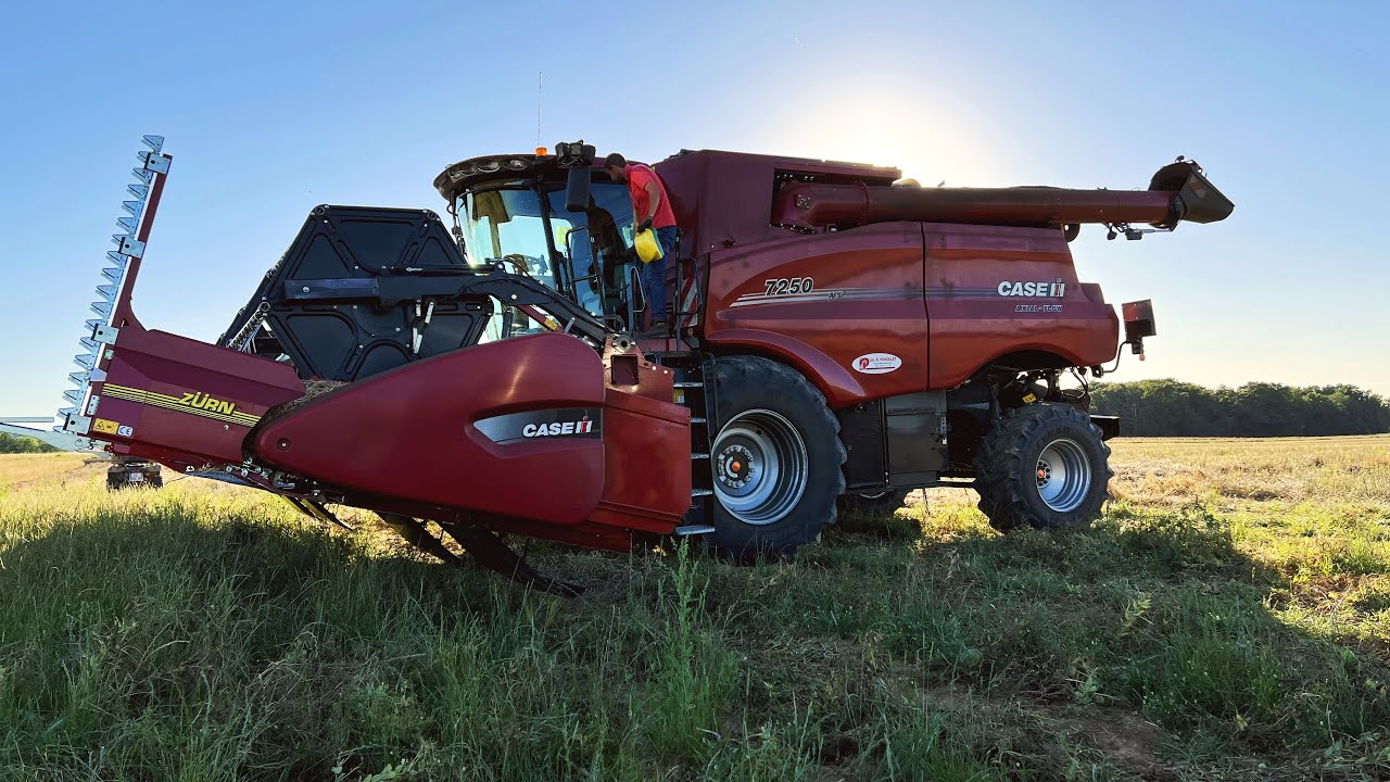 CASE IH 7250 (moisson colza)