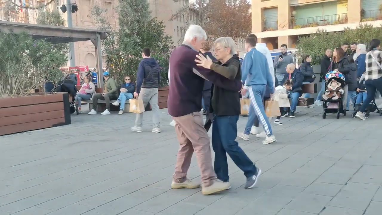 Maestro Seroga 