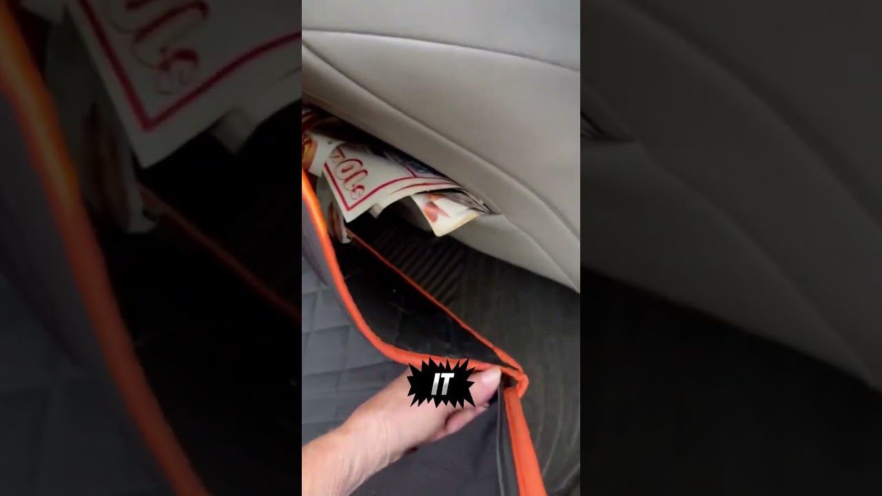 URPOWER Backseat Extender for Dogs – Dog Car Seat Cover & Travel Bed