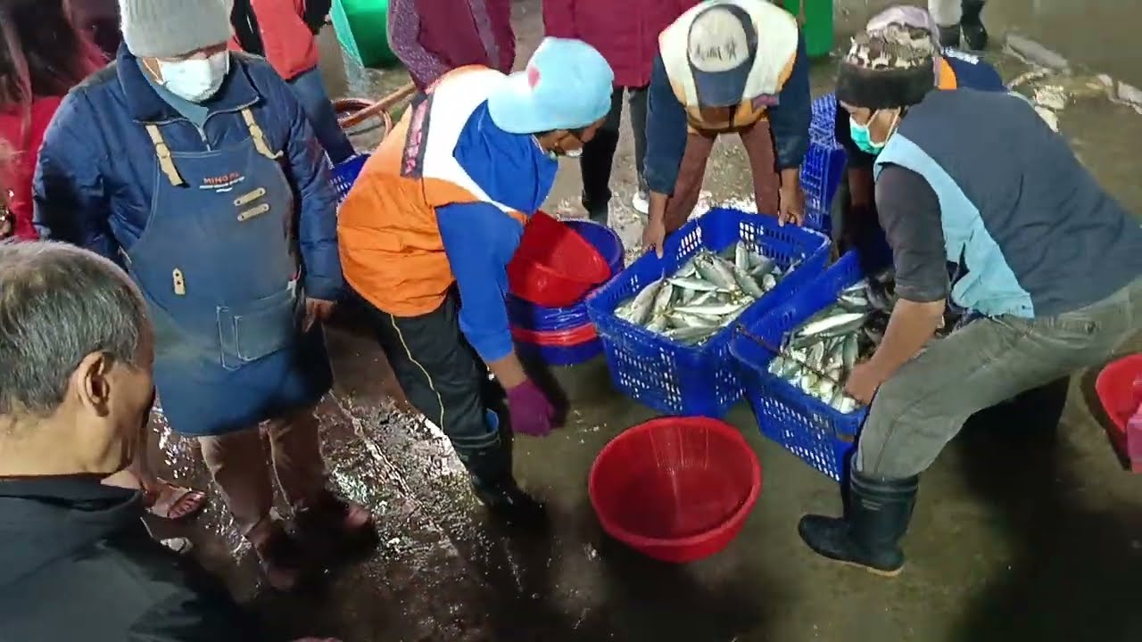 明發定置漁場 新竹最鮮海魚 一籃300大出清 Crazy catching fresh seafoods for selling, #freshseafoods, #fishing