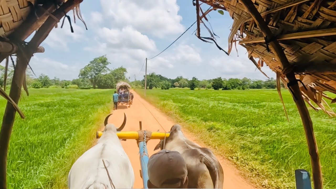 Hiriwadunna village and lake tour 