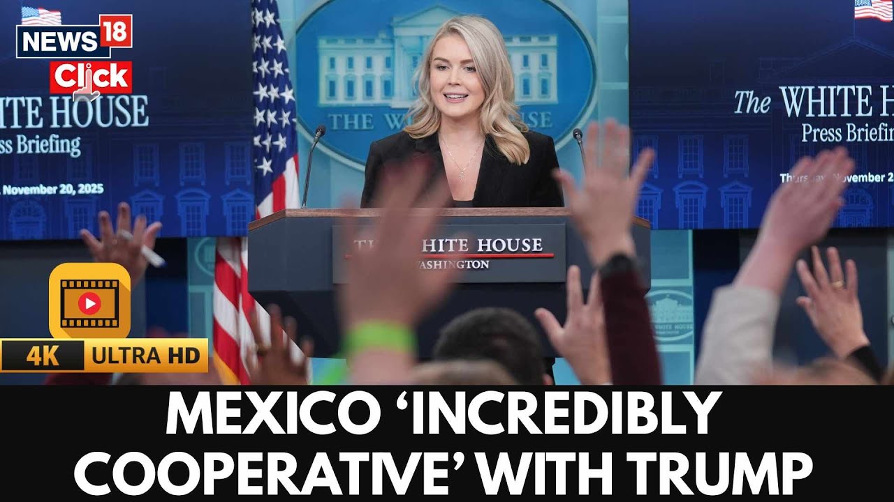Mexico Is Incredibly Cooperative With Trump, Says Karoline Leavitt | US Mexico Relations | N18G