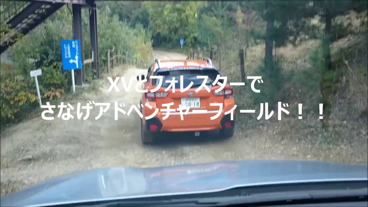 XVでさなげアドベンチャーフィールド　林間コース