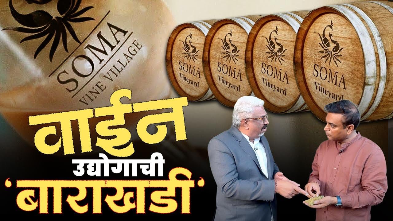 Soma Winery! वाईन कशी बनते? ४ लाख लिटर उत्पादन, ‘अनारकली’ ब्रँड ३५ कोटीं व्यवसाय!Wedding Destination