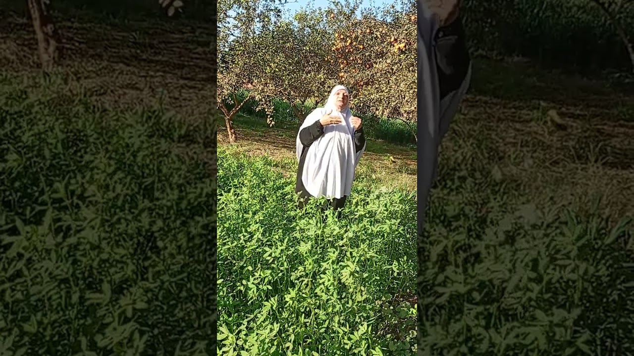 حدث كبير يغفل عنه كثير من الناس 
