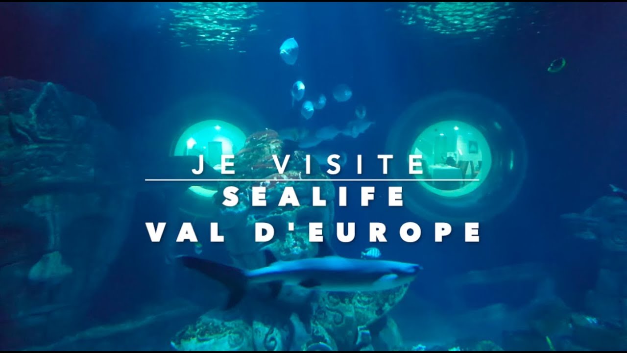 Je visite SEALIFE val d'Europe - Un aquarium géant en Seine et Marne