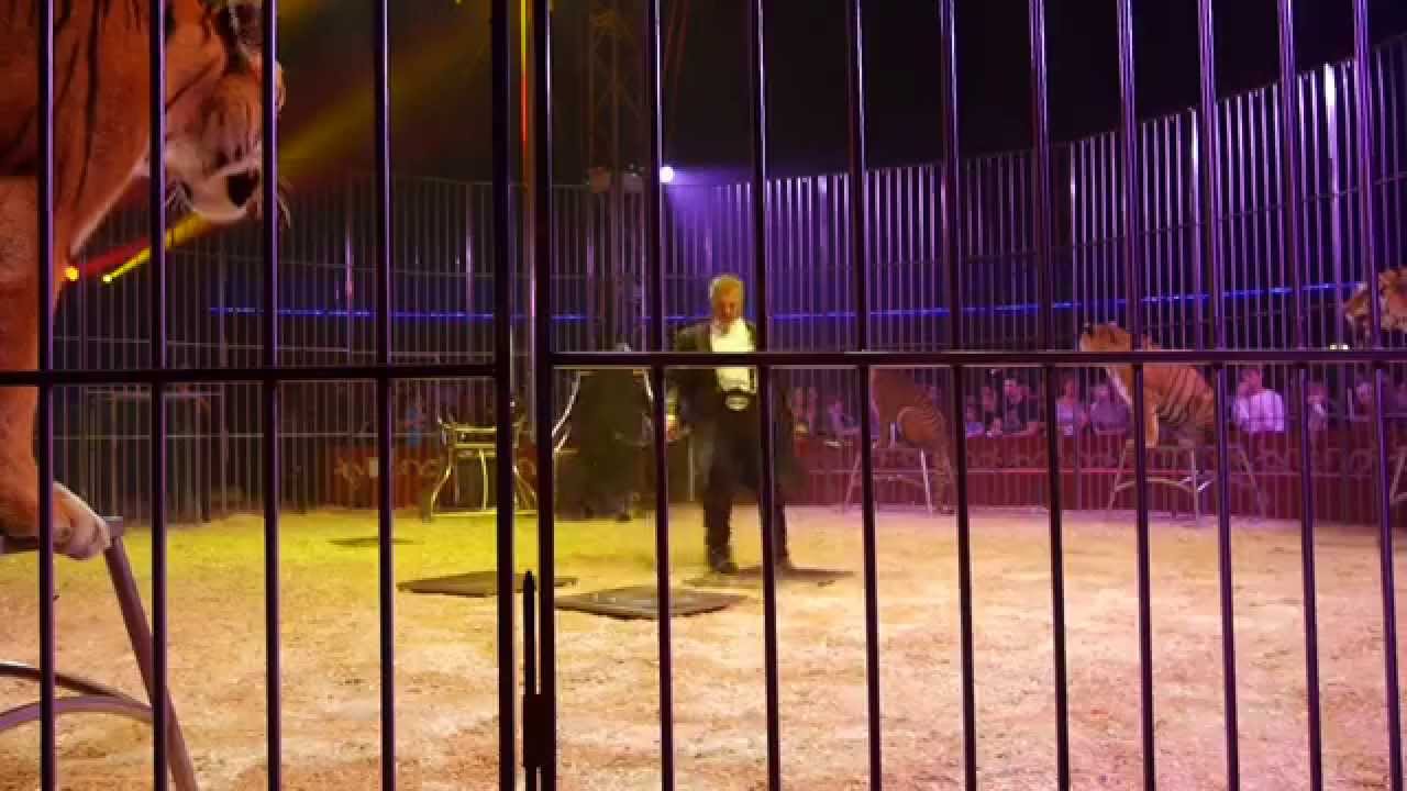 redi cristiani 2014