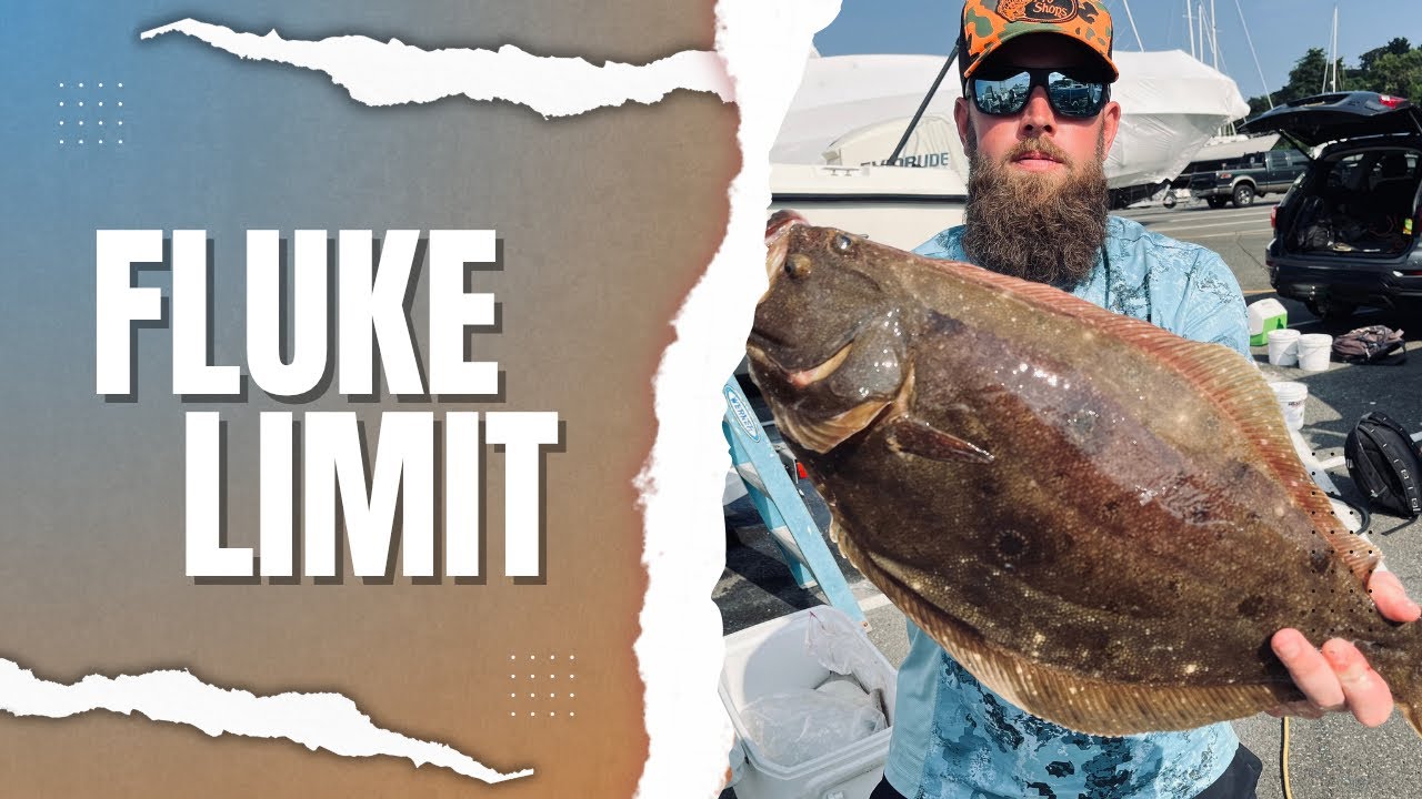 New Jersey Fluke Limit. Quality Fish!!!