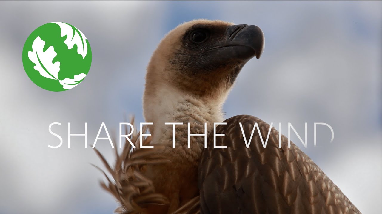 Share The Wind