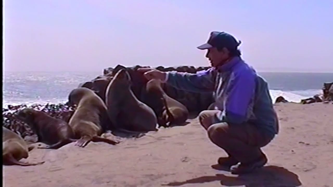 Namibia-Skeleton coast e Namib desert