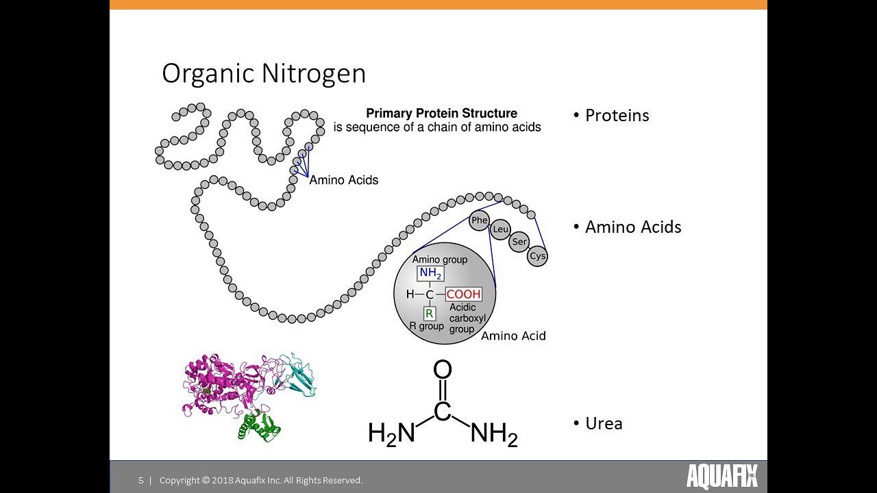 Restoring Wastewater Nitrification