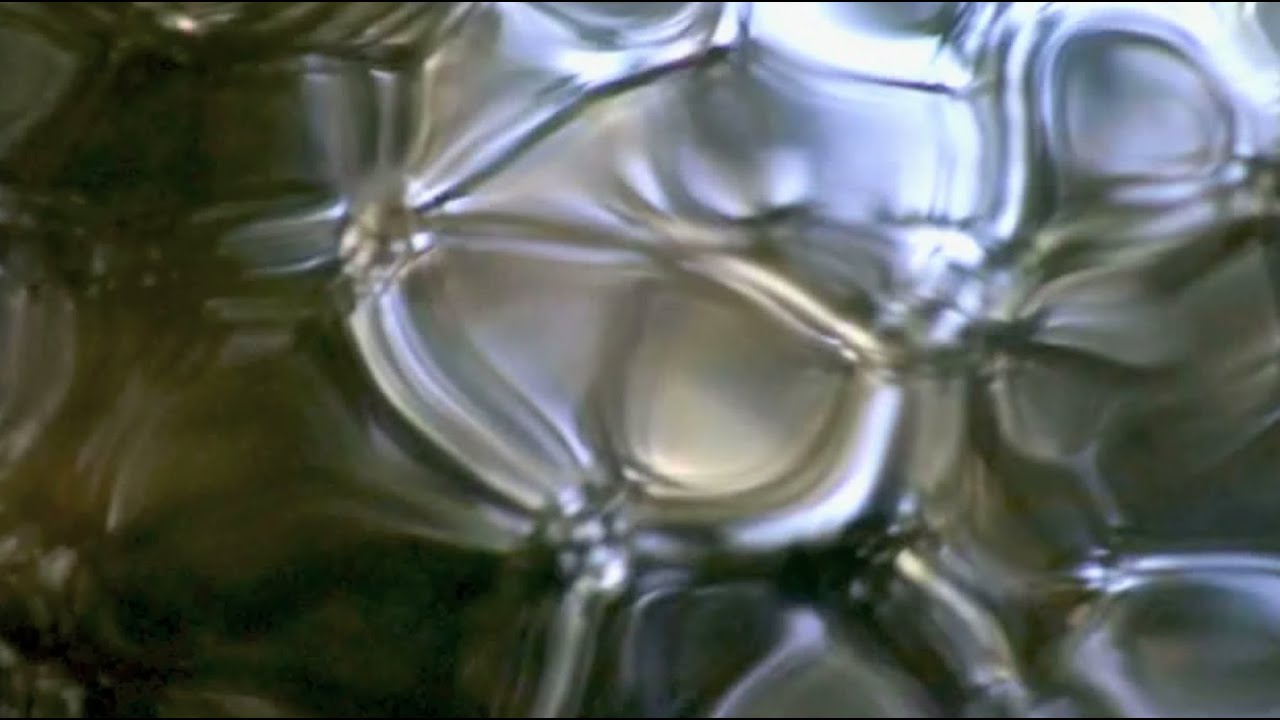 Surface Tension: trance out on water reflections