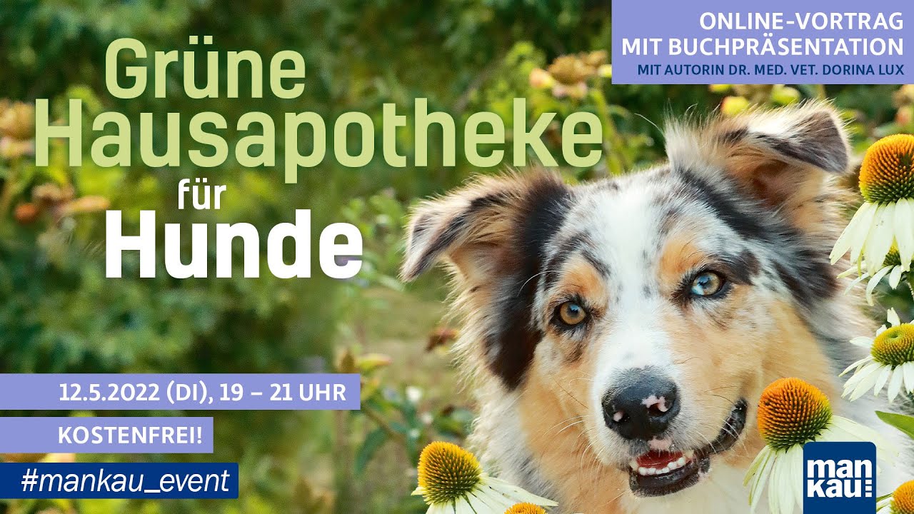 Grüne Hausapotheke für Hunde: Online-Vortrag mit Tierärztin Dr. med. vet. Dorina Lux