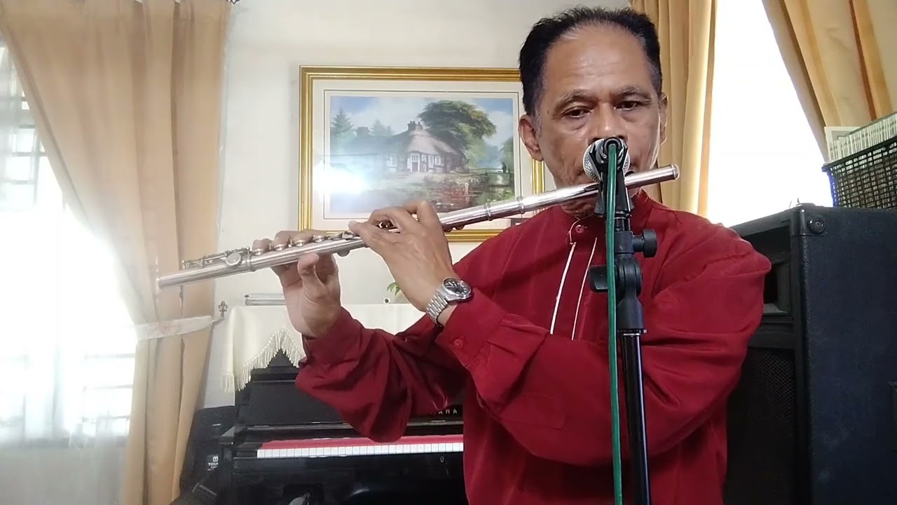 Moon and I Arabian Night Ron Goodwin Orchestra flute cover