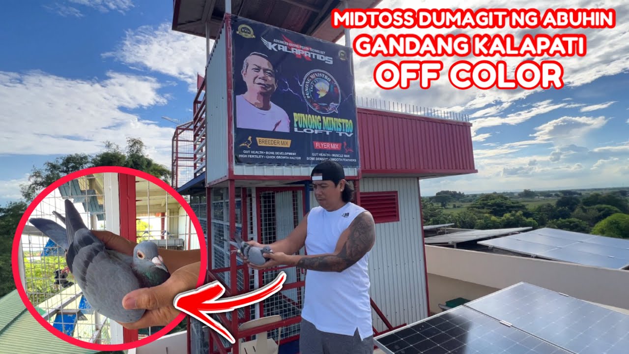 EP1153 MIDTOSS DUMAGIT MAGANDANG ABUHING KALAPATI MAY CLUB STICKER PA!