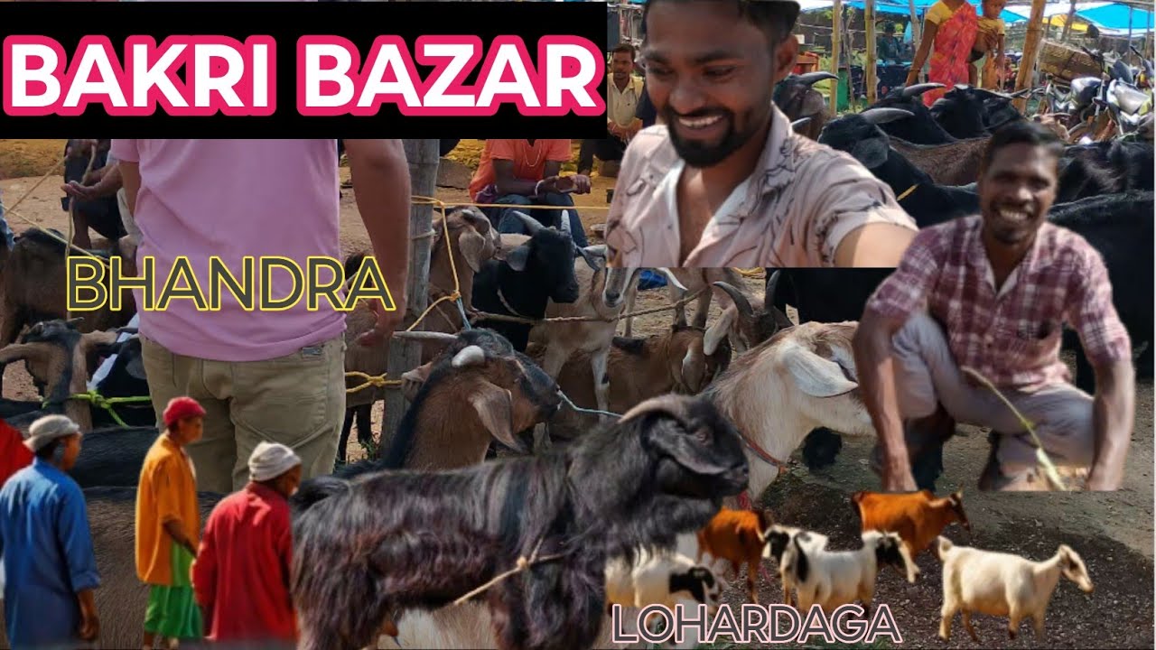Bakri Bazar Bhandra Lohardaga 2025 Goat 🐐 Market Lohardaga