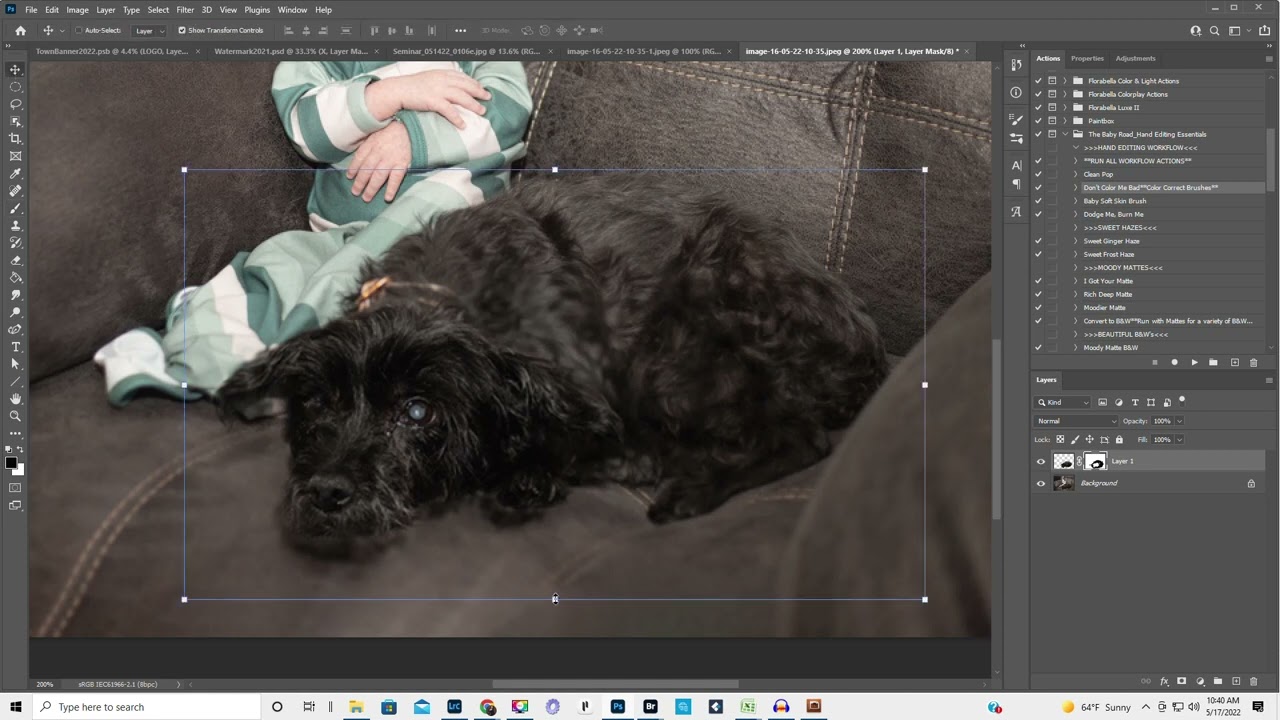 Merging two photos when you miss focus in one.  Photoshop edit.  Move tool, mask, clone tool.