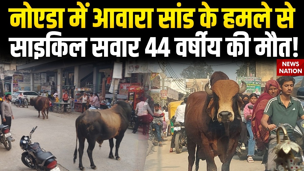 Noida Bull Attack: नोएडा में आवारा सांड के हमले से साइकिल सवार 44 वर्षीय की मौत! | UP News