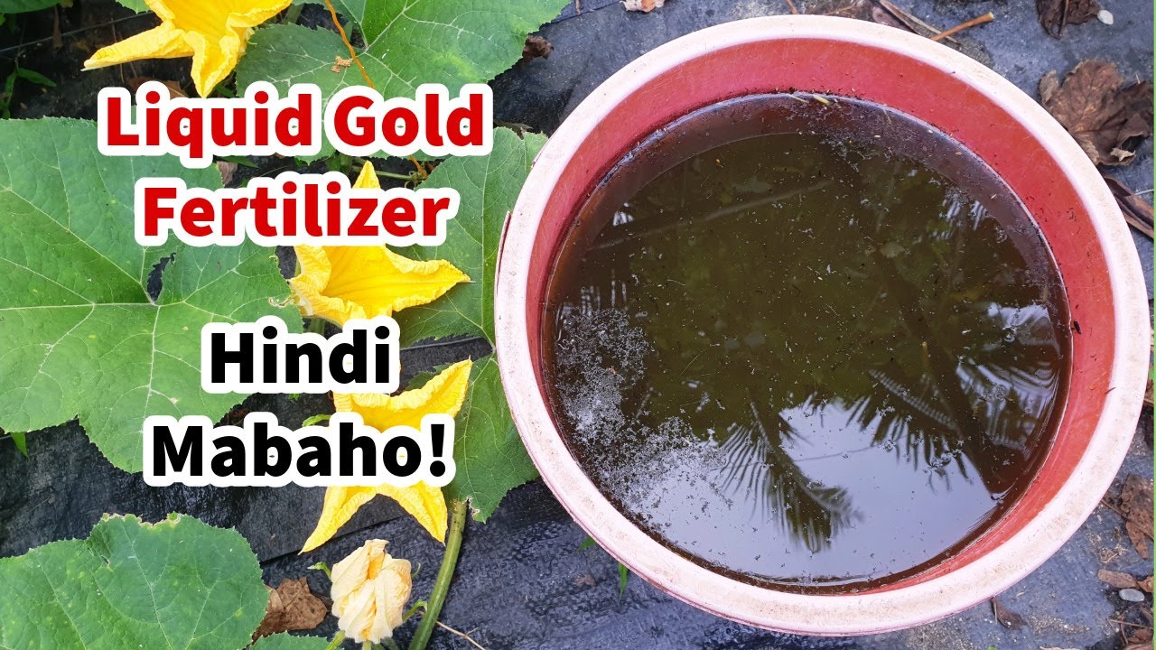 Effective Free Liquid Fertilizer For Super Fast Plant Growth