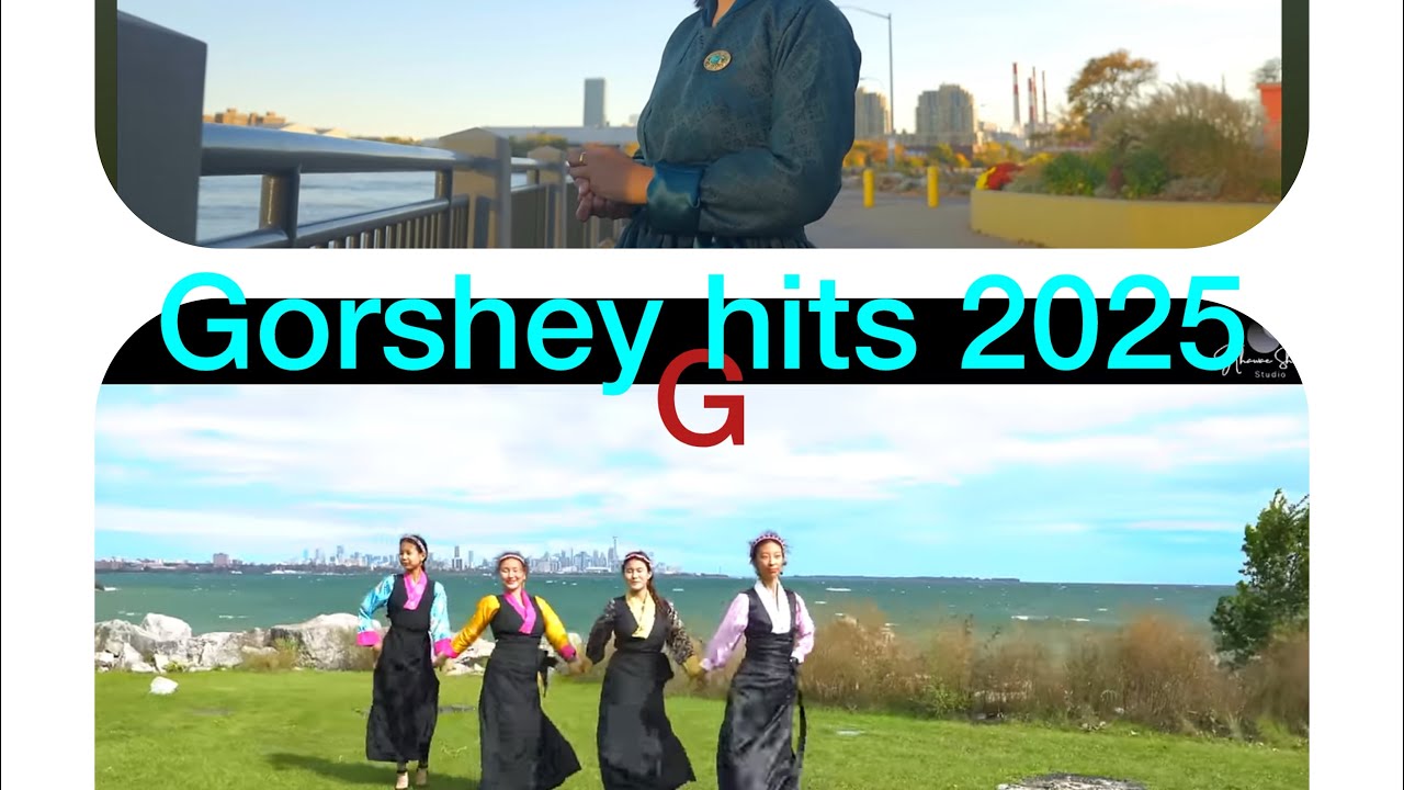 Top Gorshey Hits 2025