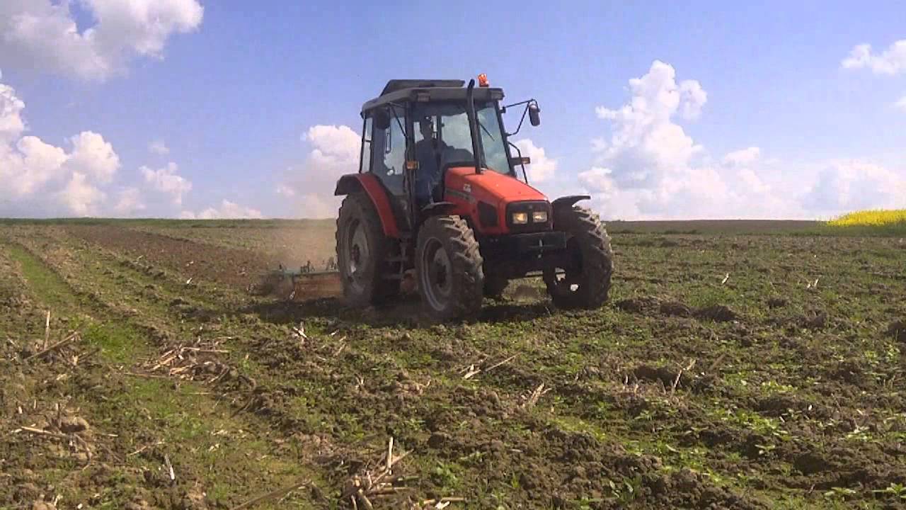 Massey Ferguson 4235 #Uprawa pod kukurydze 2014#