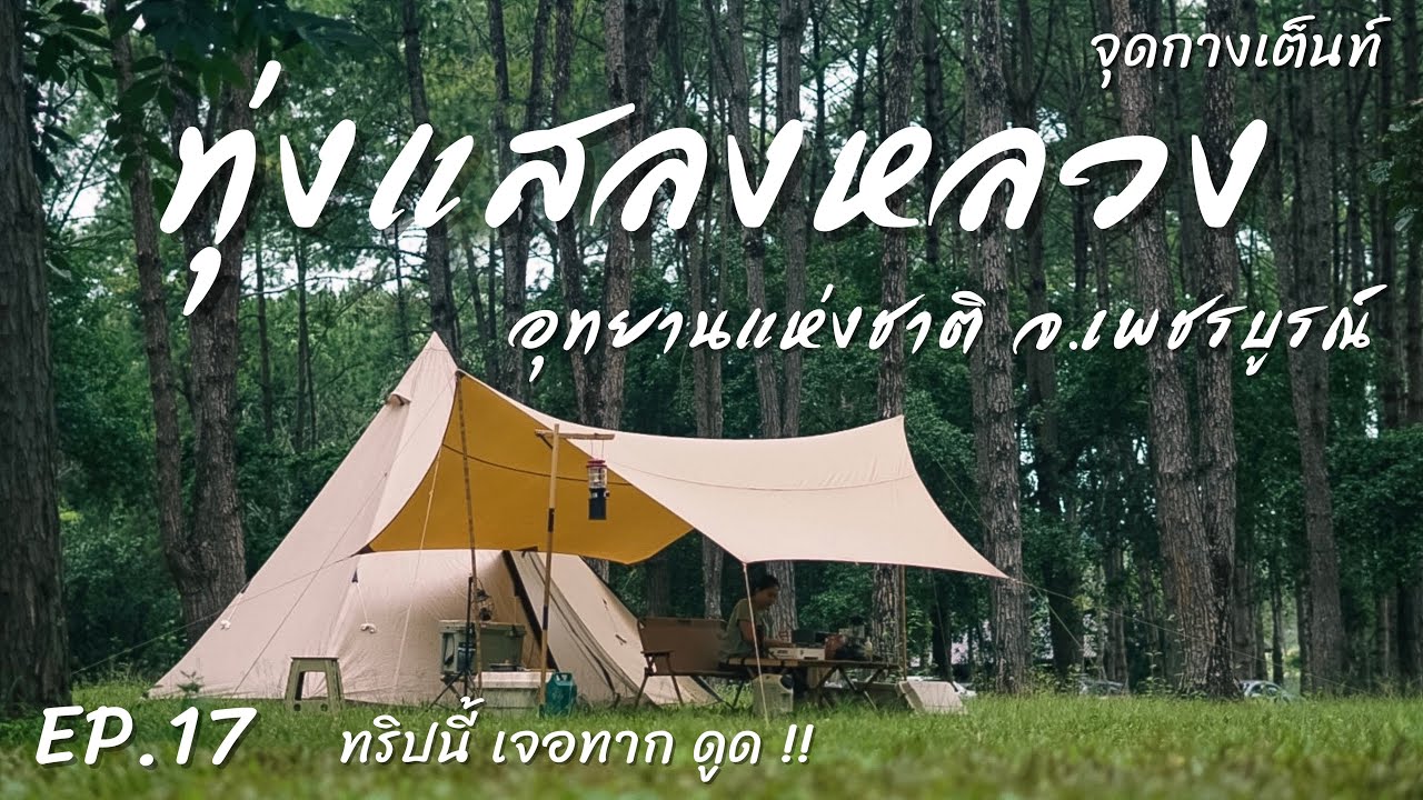 EP.17 ทุ่งแสลงหลวง | จุดกางเต็นท์ | อุทยานแห่งชาติ ชมสายหมอก จ.เพชรบูรณ์ ทริปนี้เจอทากดูด !!