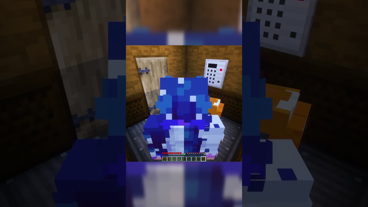 DZIKIE ,,DENSY,, SHARIKANA I HADESIAKA