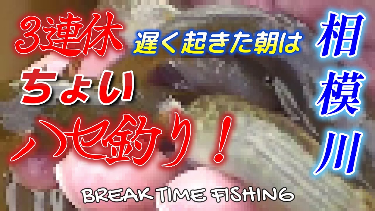 【相模川】3連休の釣り！