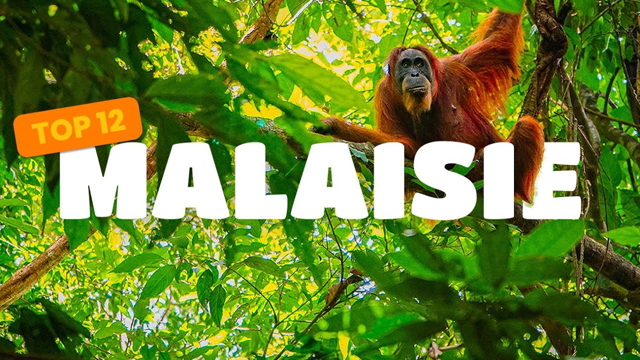 Top 12 des lieux à voir en Malaisie
