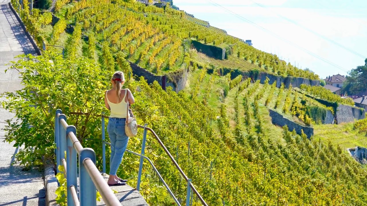🇨🇭Swiss Lavaux Vineyards Around Lake Geneva 🇨🇭Surrounded by the Alps and Incredible Scenery