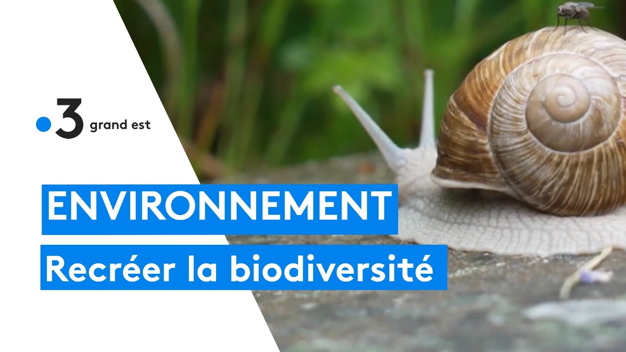 Environnement : recréer la biodiversité
